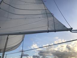 Beautiful new sails.
