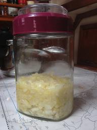 Sauerkraut after 3 days of fermenting.  I replaced the paper towel with the actual lid.