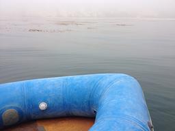 Dinghy inflated and ready to go once the fog lifts