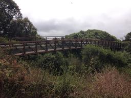One of the many bridges on the Coastal Trail from Princeton to Half Moon Bay