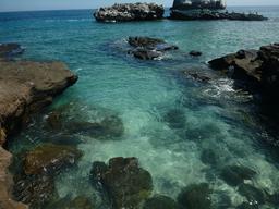 This photo gives a pretty look at the obscenely clear water at Isla Isabela.