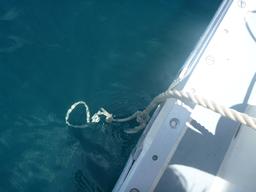 Rope ladder for boarding the boat