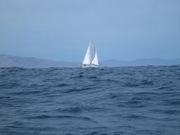 A view of our friend Will sailing Thalassi heading south from Turtle Bay.