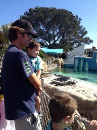Uncle Dave became a favorite for his height advantage.  Sea Turtles!